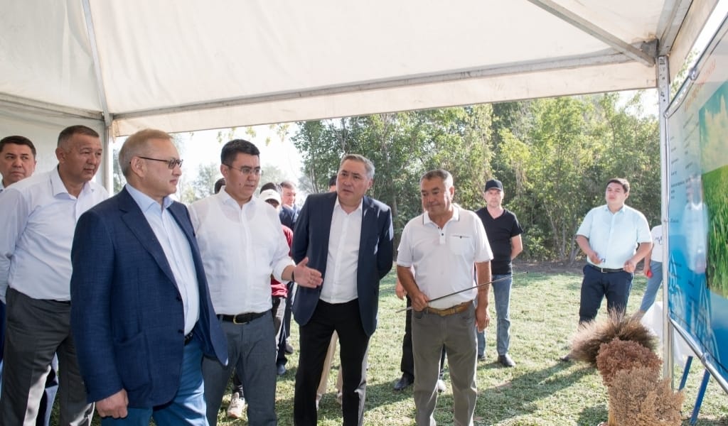 БАЛҚАШ КӨЛІНІҢ ЖАҒАЛАУЫ АДАМ ТАНЫМАСТАЙ ӨЗГЕРЕДІ - ЖЕТІСУДЫҢ ӘКІМІ