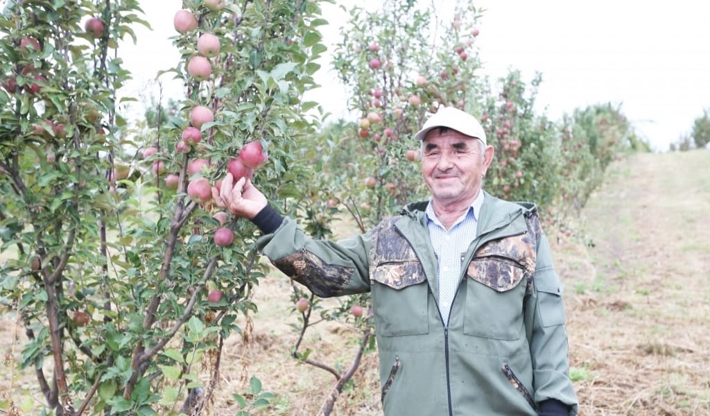 ЕСКЕЛДІ АУДАНЫ АЛМА ӨСІРУГЕ ӨТЕ ҚОЛАЙЛЫ - ТӘЖІРИБЕЛІ БАҒБАННЫҢ СӨЗІ