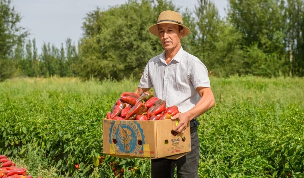 ТАБИҒИ ӘРІ ДЕНСАУЛЫҚҚА ПАЙДАЛЫ. "ӨНДІРХАННЫҢ" ӨНІМІНЕ СҰРАНЫС МОЛ