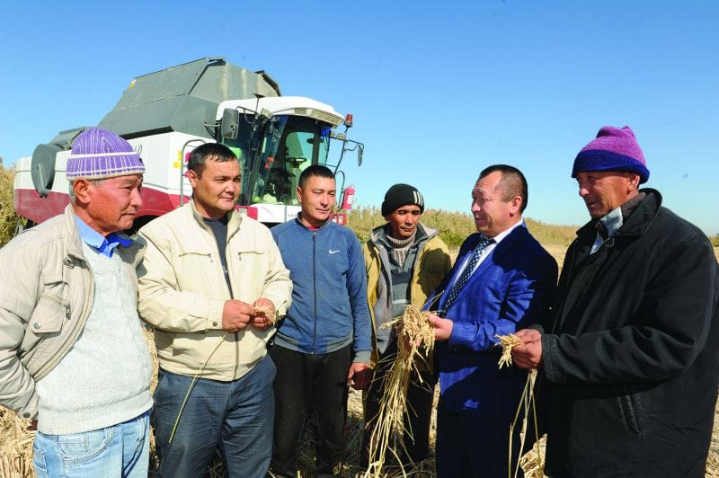 Ақдаланың ақмаржаны