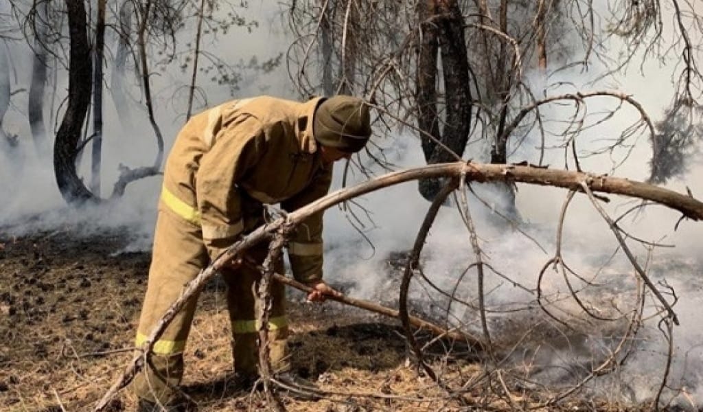 ОТҚА ОРАНҒАН ТОРҒАЙ ТОПЫРАҒЫ. ЖЕТІСУДАН ГУМАНИТАРЛЫҚ КӨМЕК ЖӨНЕЛТІЛЕДІ
