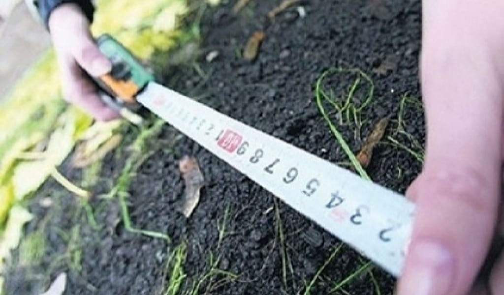 ҰЯЛМАЙСЫЗ БА? САРҚАНДА ӘКІМ ОРЫНБАСАРЫНЫҢ ҮСТІНЕН ШАҒЫМ ТҮСКЕН