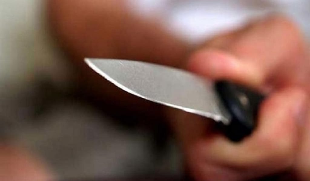 ШЕЛЕК АУЫЛЫНДА ТҰРАТЫН ЕР КІСІ 17 ЖЫЛ ОТАСҚАН ӘЙЕЛІН ПЫШАҚТАП ТАСТАДЫ