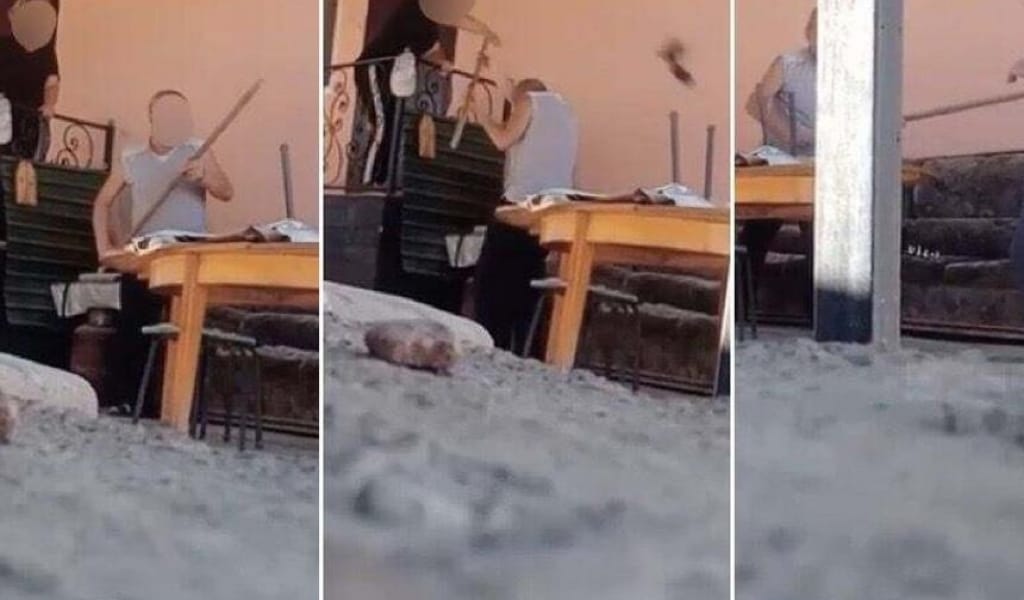 ӨЛТІРІП ТАСТАЙЫН БА? БАЛАЛАРЫН ҰРЫП-СОҚҚАН ӘЙЕЛДІҢ ІСІН КОМИССИЯ ҚАРАДЫ