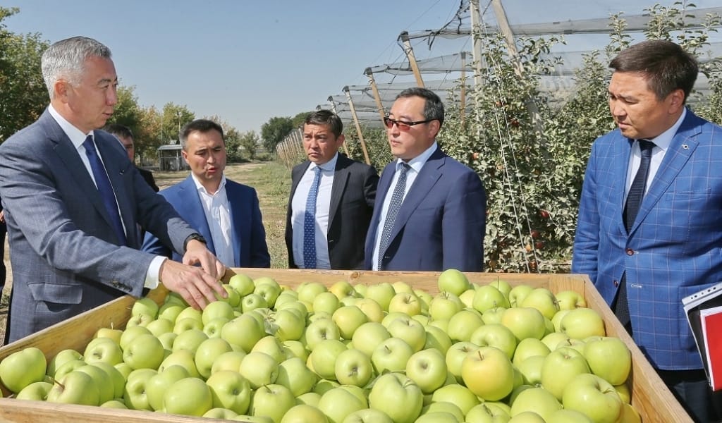 САУДА ЖӘНЕ ИНТЕГРАЦИЯ МИНИСТРІ ЕҢБЕКШІҚАЗАҚ АУДАНЫН АРАЛАДЫ