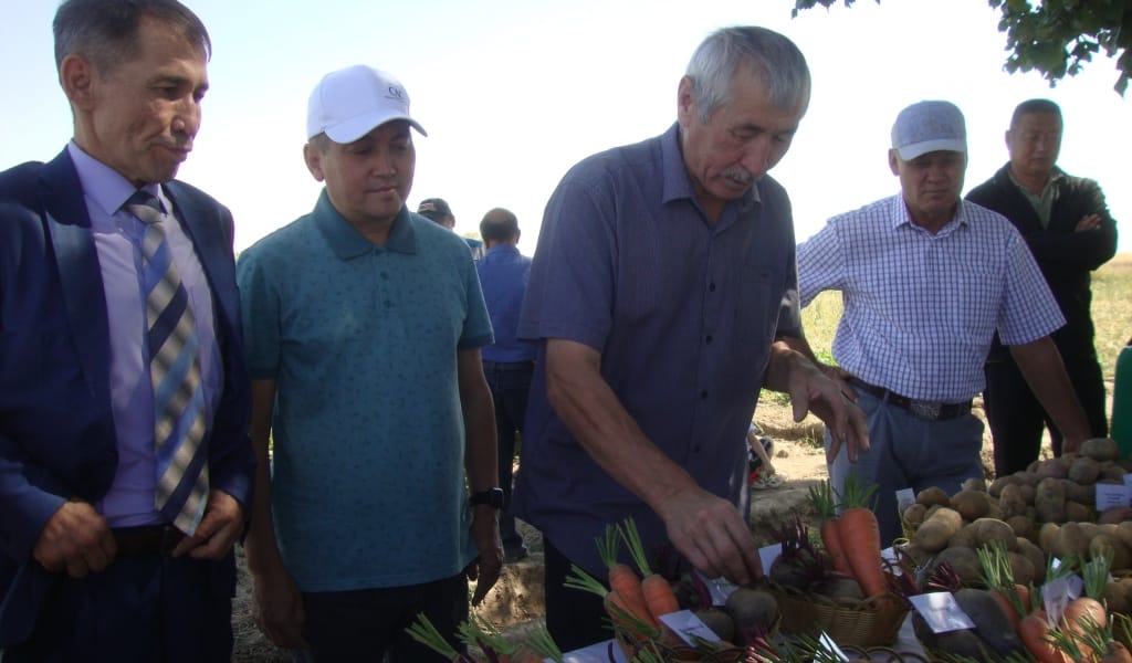 ОРГАНИКАЛЫҚ ТЫҢАЙЬҚЫШТЫҢ ТИІМДІЛІГІ