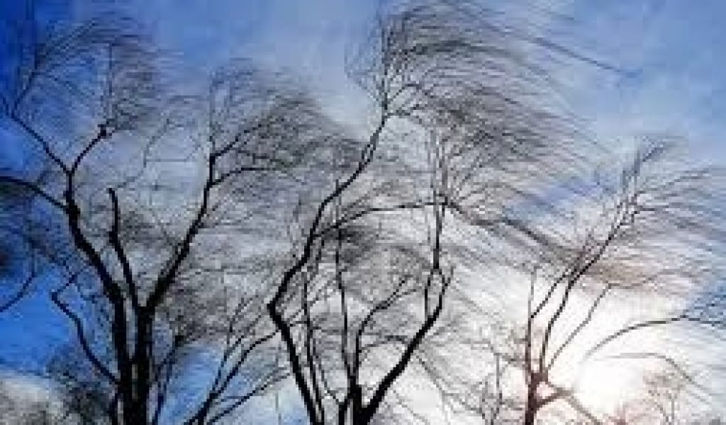 АЛМАТЫ ЖӘНЕ ЖЕТІСУ ОБЛЫСТАРЫНДА ҚАТТЫ ЖЕЛ СОҒАДЫ - ТӨТЕНШЕ ЖАҒДАЙ