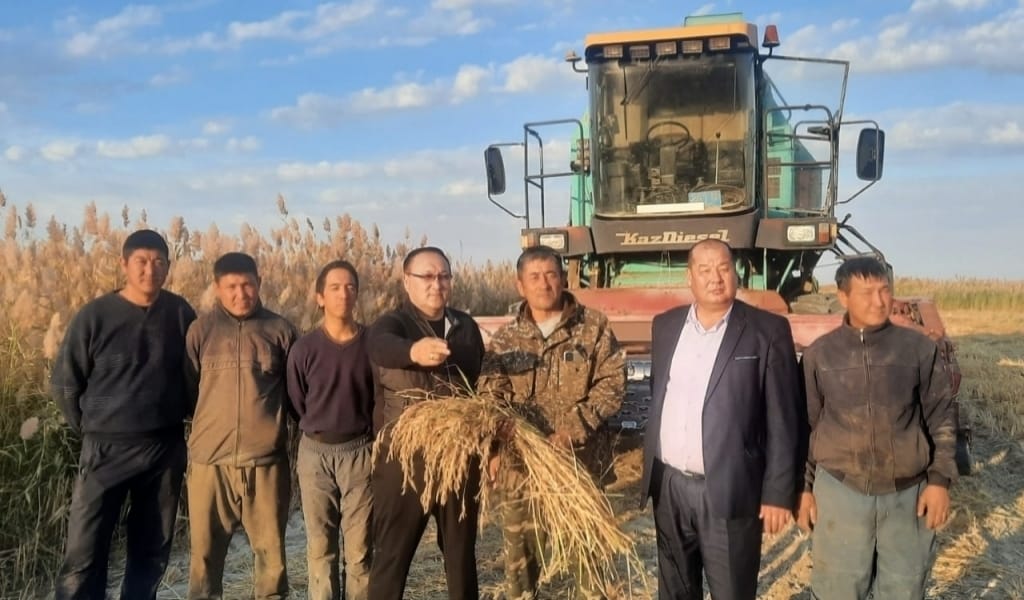 КҮРІШ ЕГУШІЛЕРДІҢ АЙЛЫҒЫ НАУҚАНДА 400 МЫҢ ТЕҢГЕГЕ ДЕЙІН КӨТЕРІЛЕДІ
