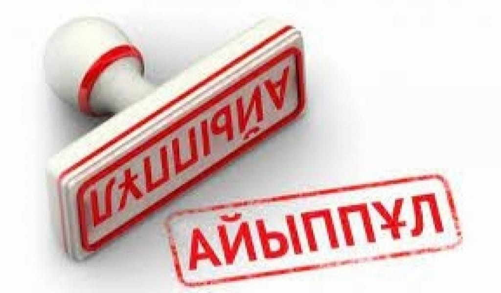 ТАЛДЫҚОРҒАНДА ИТ ТӨБЕЛЕСТІРГЕН ЖЕРГІЛІКТІ ТҰРҒЫН АЙЫППҰЛ ТӨЛЕДІ