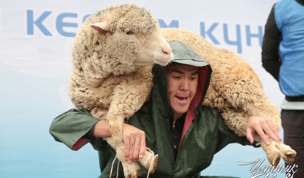 АЛМАТЫДА ҚОШҚАР КӨТЕРГЕН ЖІГІТ КӨПШІЛІКТІ ТӘНТІ ЕТТІ - СПАРТАКИАДА