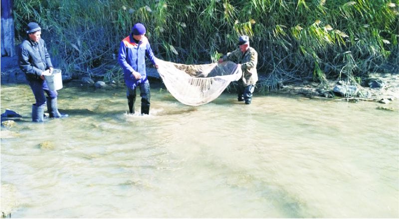 Шабақтар құтқарылды