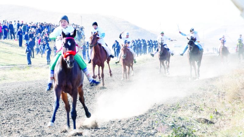 Көкбастауда көп тұлпар көсілген күн