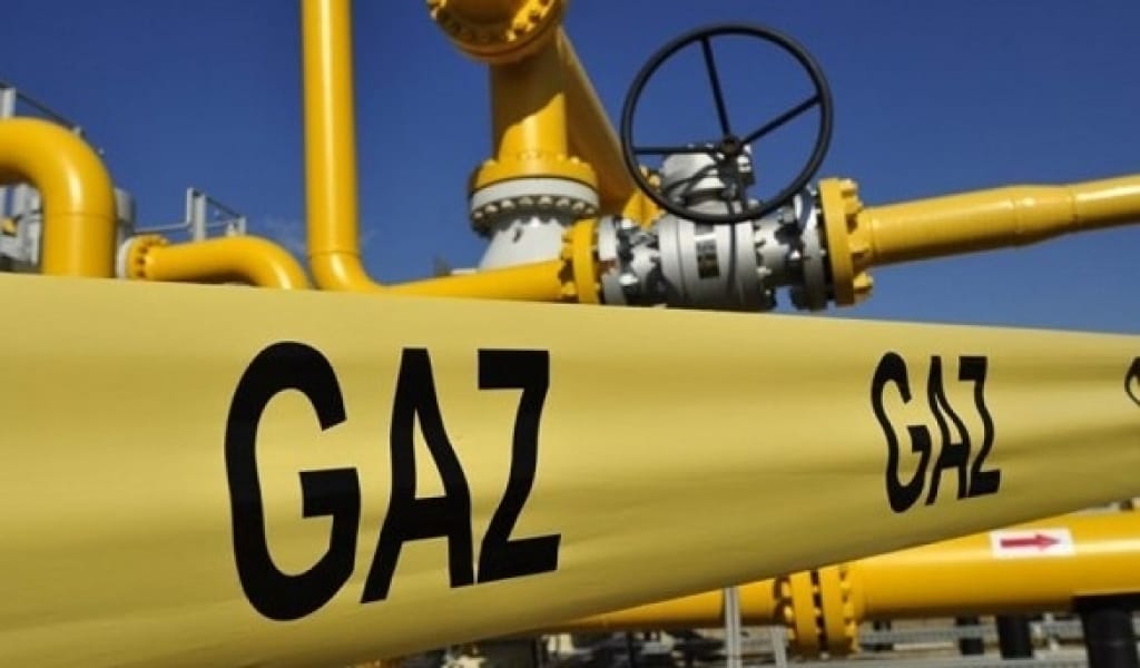 ГАЗ ҚҰБЫРЫНА АҒАШ ҚҰЛАП, МЫҢДАҒАН ҮЙ КӨГІЛДІР ОТЫНСЫЗ ҚАЛДЫ - АЛМАТЫ ОБЛЫСЫ