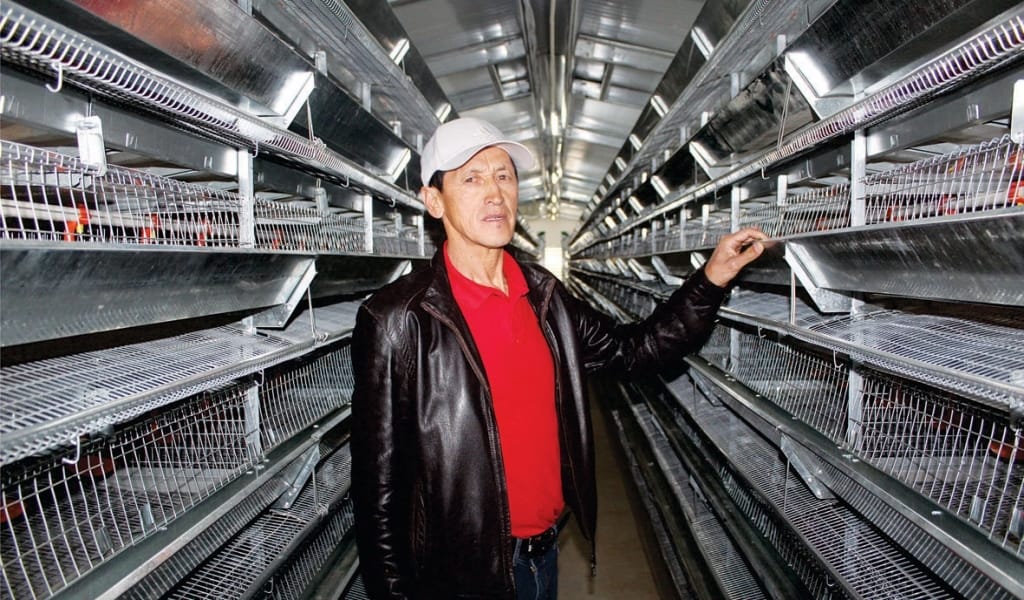 БӨДЕНЕ БИЗНЕСІ