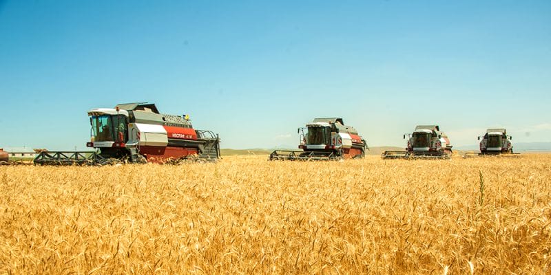 Сапалы өнімге сұраныс көп