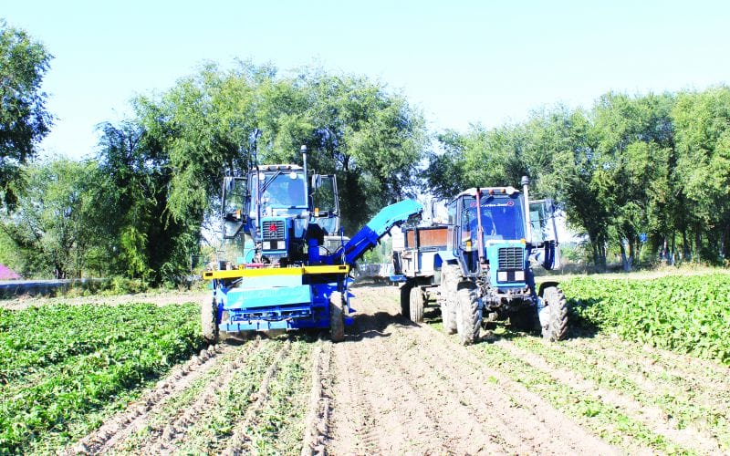 Сапалы аяқтады