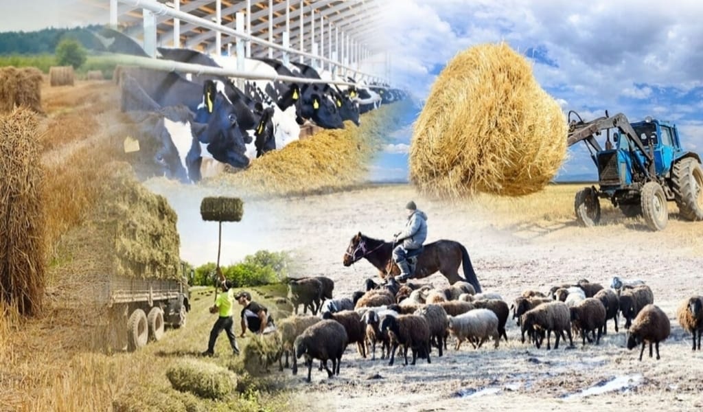 МЕМЛЕКЕТ БАСШЫСЫНЫҢ ТАПСЫРМАСЫ: ІС ПЕН НӘТИЖЕ