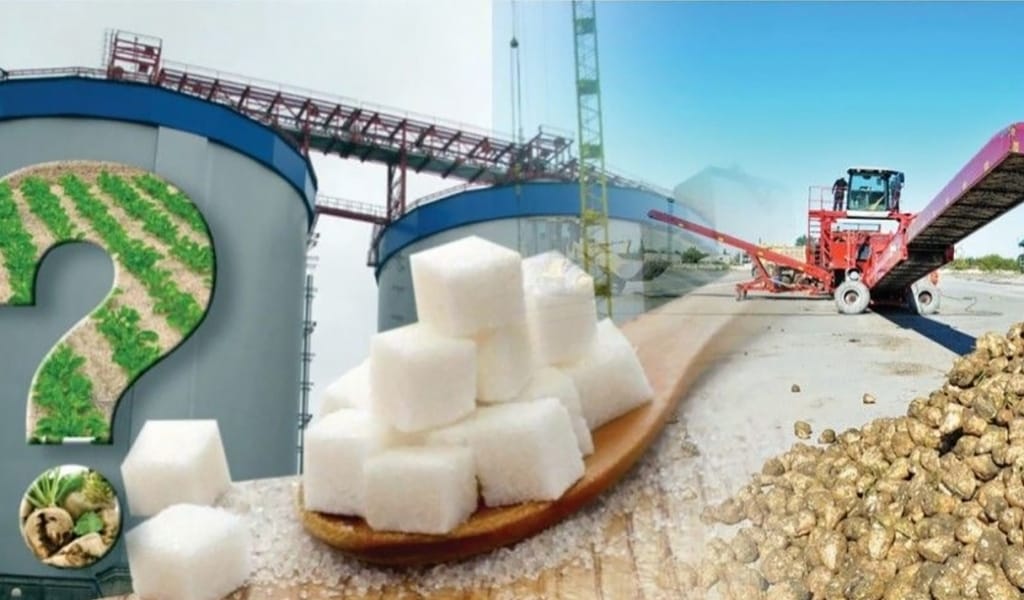 ҚАНТ ӨНДІРІСІН ҚАЙТСЕК ӨРКЕНДЕТЕМІЗ?