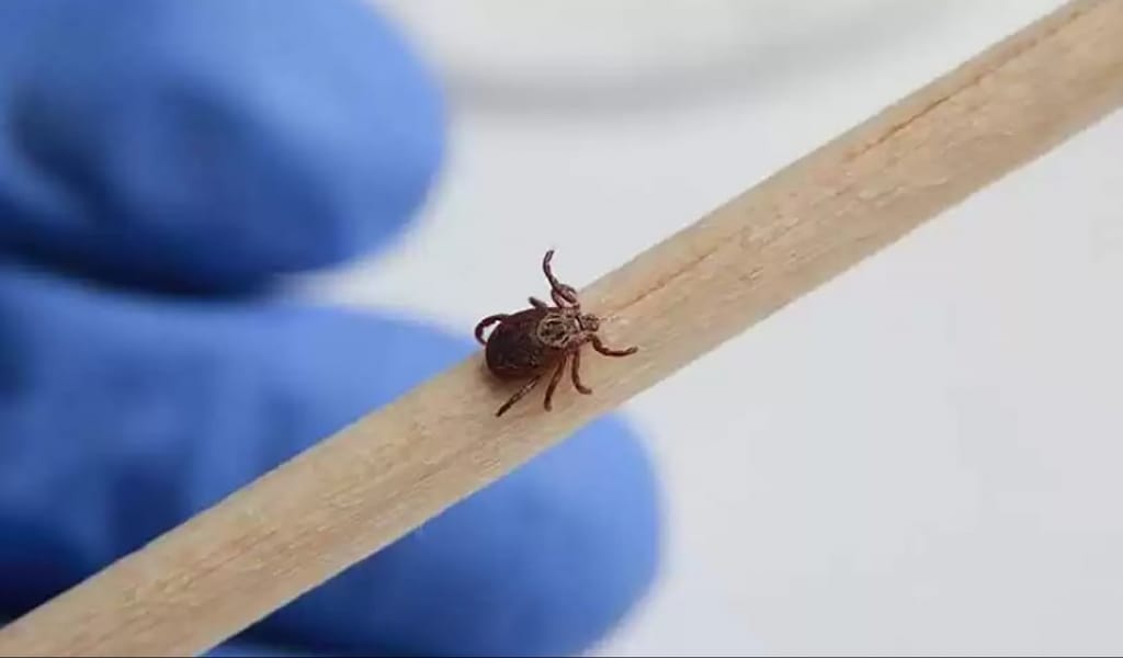 230 ГЕКТАР ЖЕР КЕНЕГЕ ҚАРСЫ ӨҢДЕЛЕДІ