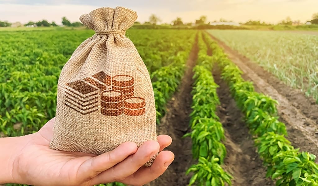 Әр адамға 8 млн. теңге: Ауыл тұрғындарына жеңілдетілген несие берілмек