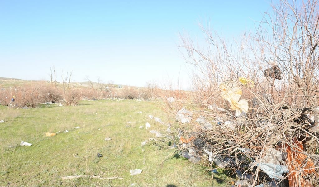 ҚОҚЫСТАН ҚАШАН ҚҰТЫЛАМЫЗ?