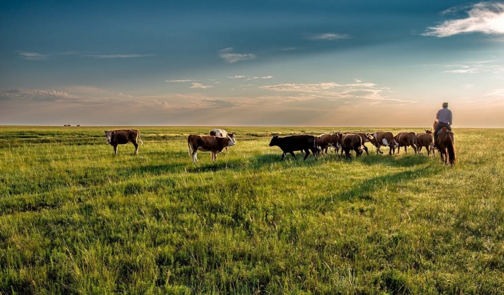 Жергілікті органдар бос жер телімдері туралы ақпаратты тоқсан сайын жариялауға міндеттеледі