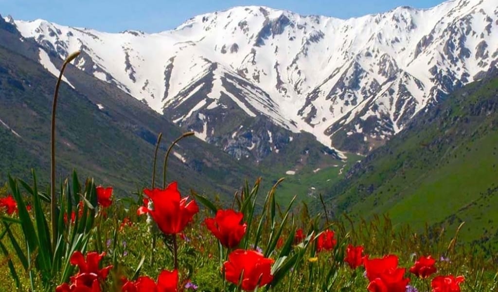 Біріміз бау, біріміз тау