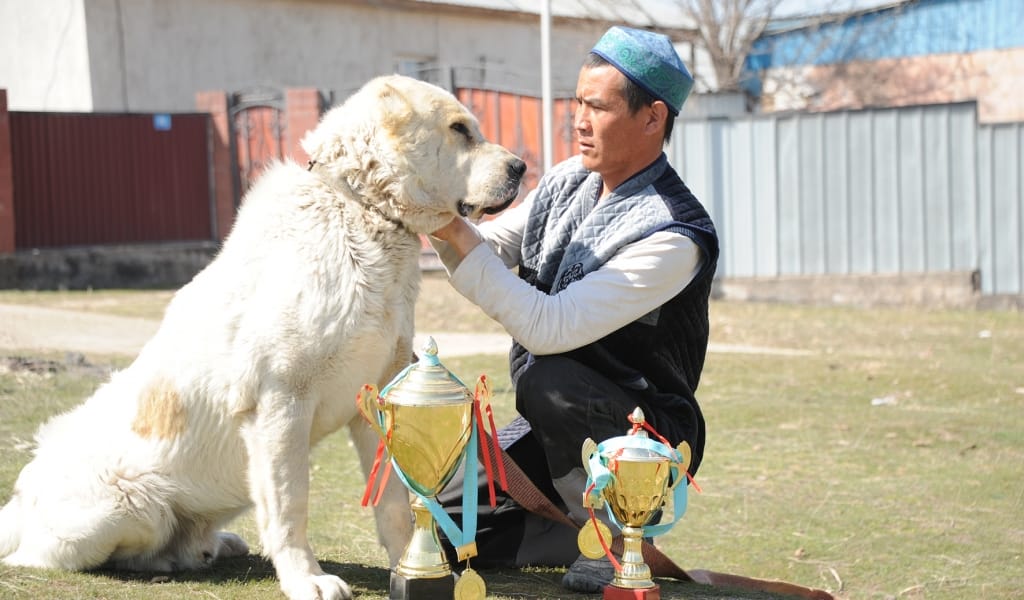 Сарыөзектегі төбет еліміздің Оңтүстік өңірі бойынша чемпион атанған