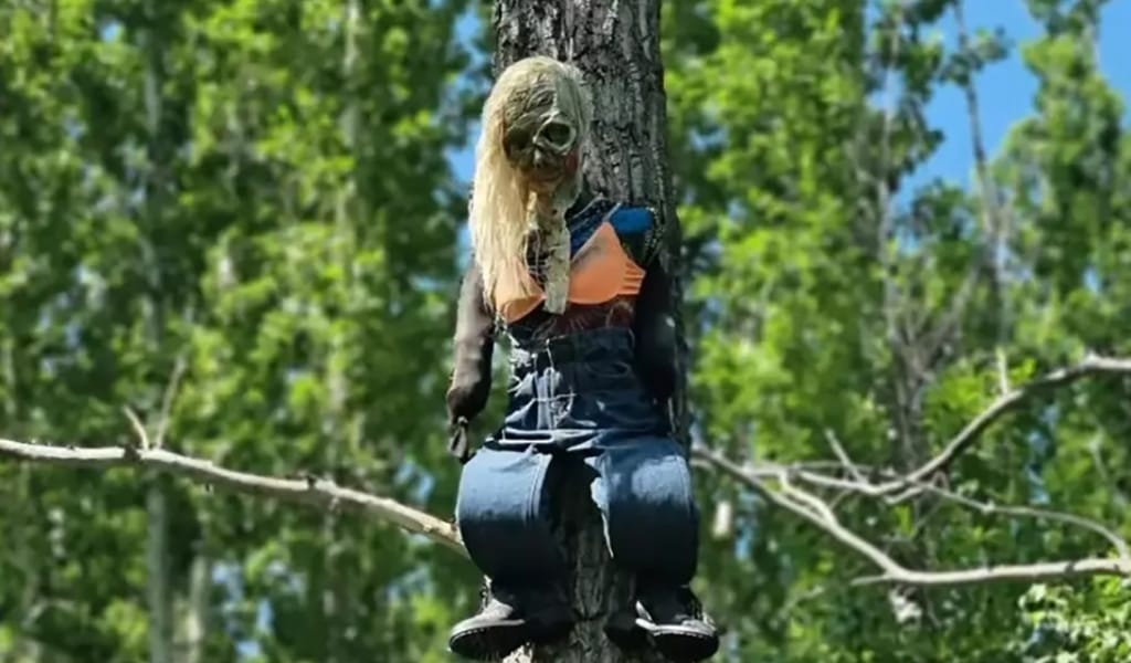 "Зомби орман": ШҚО-да орманда ілініп тұрған қуыршақтар көпшілік талқысына түсті