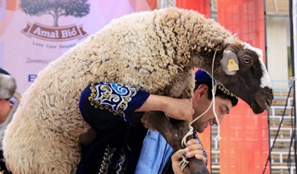 Санитар дәрігерлер Құрбан айт қарсаңында Қазақстан халқына үндеу жасады