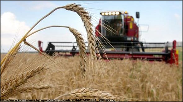 Дала төсі дүбірлі