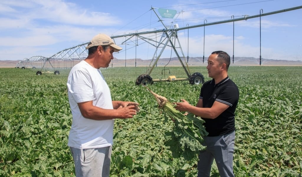 ЗАМАН АҒЫМЫНА ІЛЕСКЕН