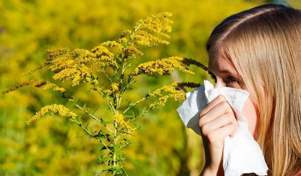 Аллергиядан қалай оңай арылуға болады?
