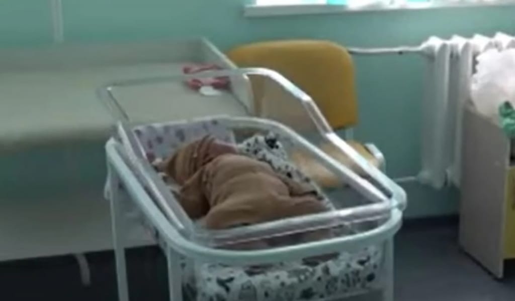 Салмағы 6 келіден асатын алып сәби дүниеге келді
