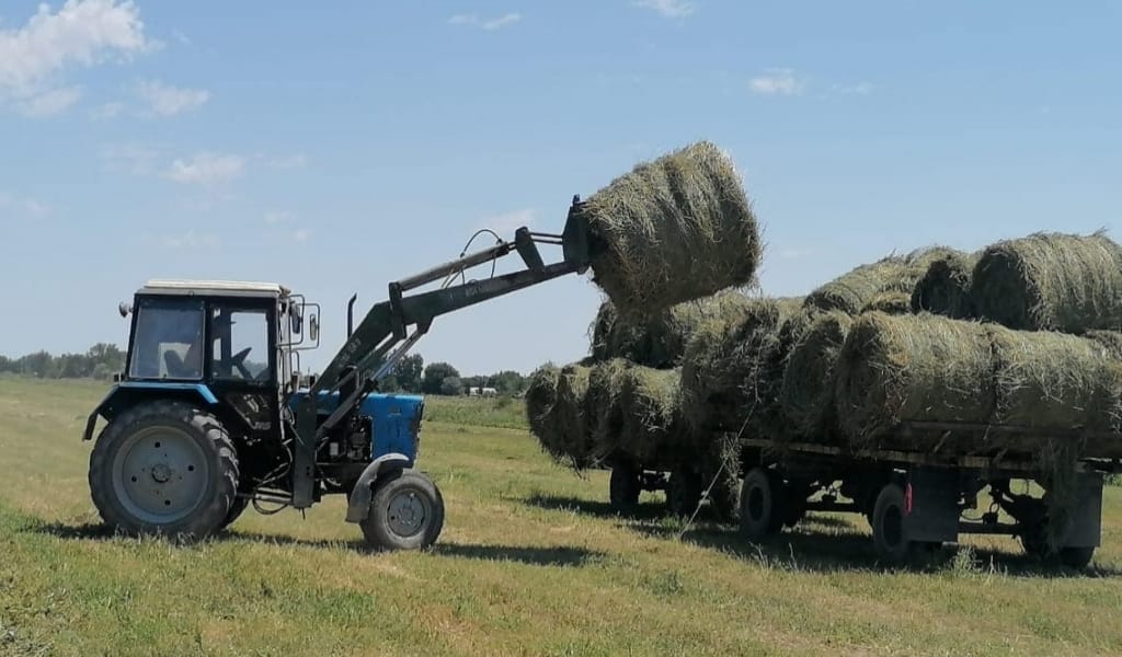 ЕҢБЕГІНЕ ҚАРАЙ ӨНБЕГІ