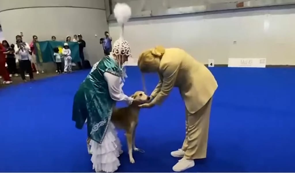Қазақтың тазысы әлем чемпионатында топ жарды