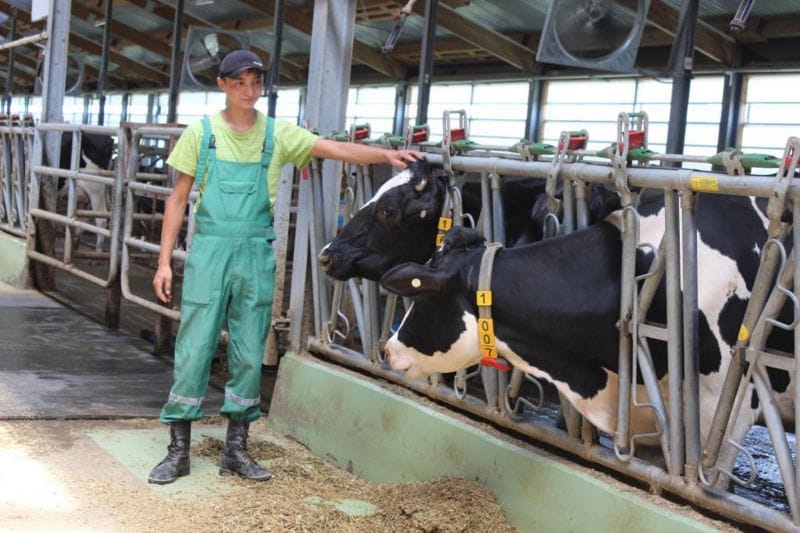 Шаруасы шалқыған ферма