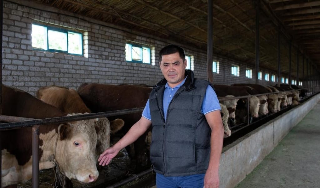 Жетісуда асыл тұқымды мал өсіруге ден қойылуда