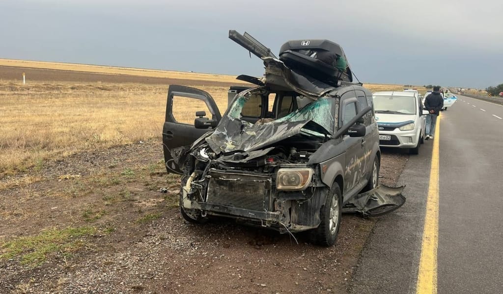 Жылқыға соқтығысқан көліктің жолаушысы қаза тапты