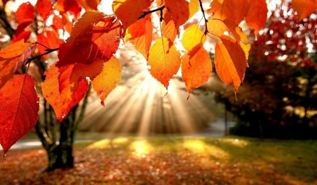 Дәрігер күздегі әлсіздік пен мазасыздықтан қорғану тәсілдерін айтты