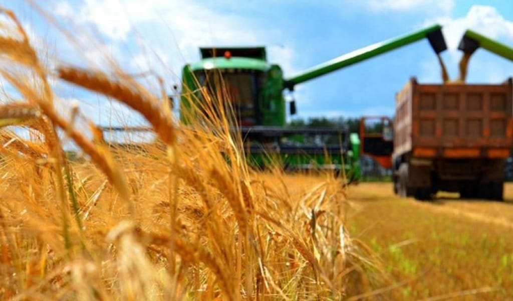 "Ет, азық-түлік қымбаттауы мүмкін". Су тапшылығы еліміздің ауыл шаруашылығы саласын тұралатпай ма?