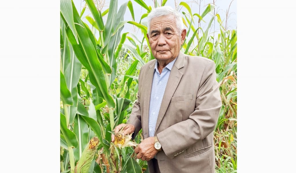 Жігерлі жүгеріші