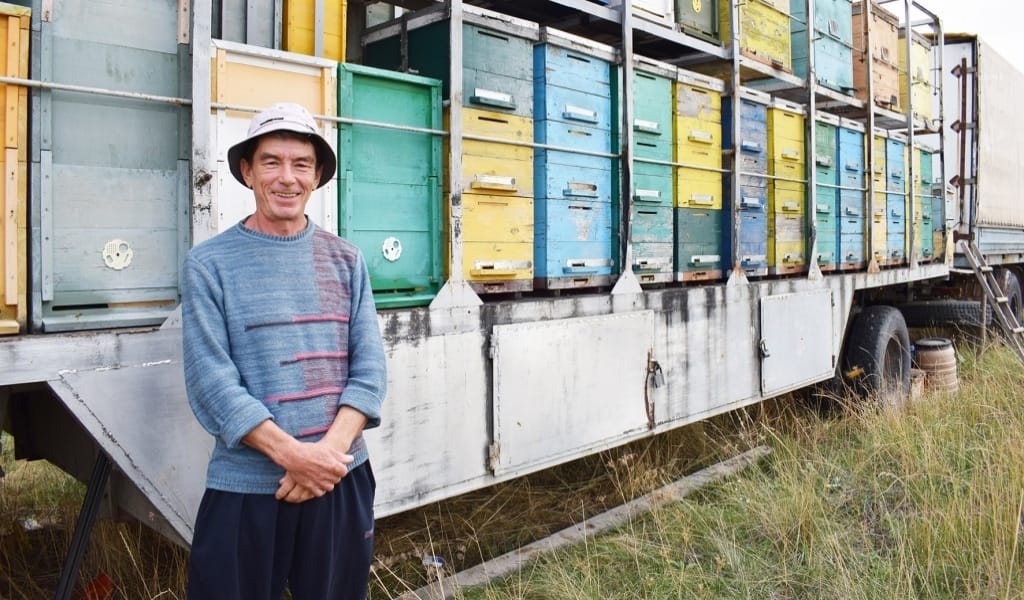 Ара &ndash; тазалықты сүйеді