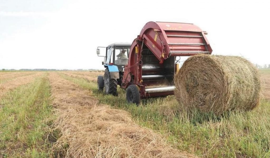 Жем-шөп дайындау жұмыстары жалғасуда