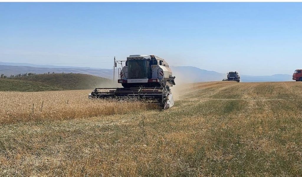 Егістікте қызу жұмыс