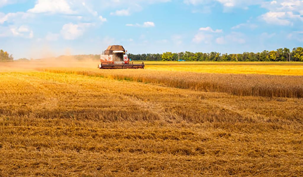 Агроөндіріс қайтсе өрістейді?