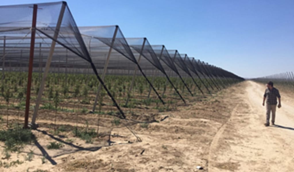 Табысы тасыған Айдарлы