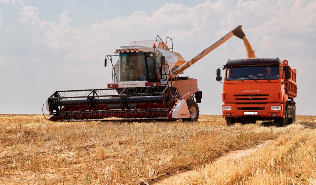 Алқаптардан 15 мың тоннадан астам астық жиналды