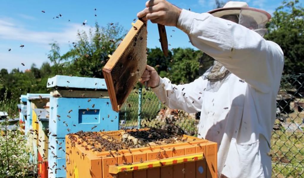 Омарташылар оқу курсынан өтті