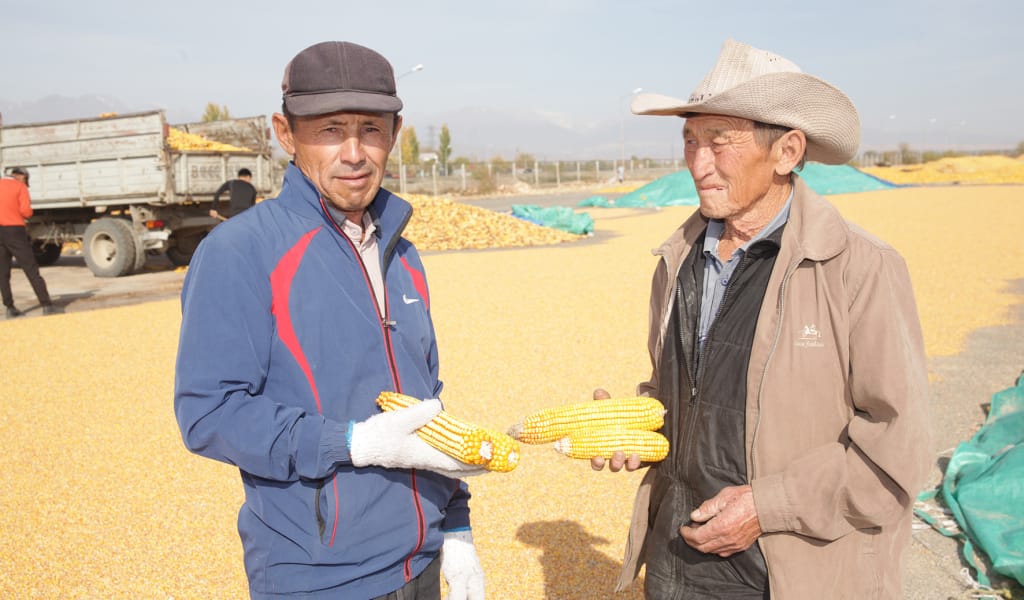 Шаруаның шығынын кім өтейді?